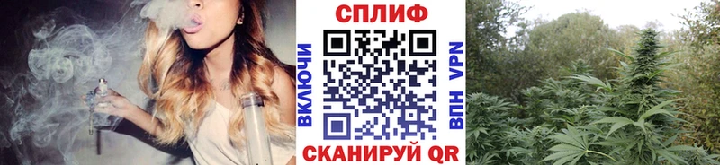 Виды наркоты Губкин Конопля  Cocaine  ГАШИШ 