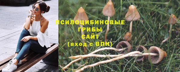 бошки Алексеевка