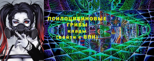 гидра Алзамай