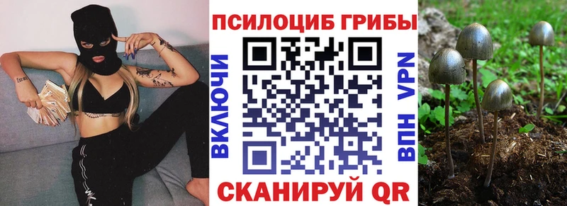 Галлюциногенные грибы Psilocybe  мега как войти  Губкин 