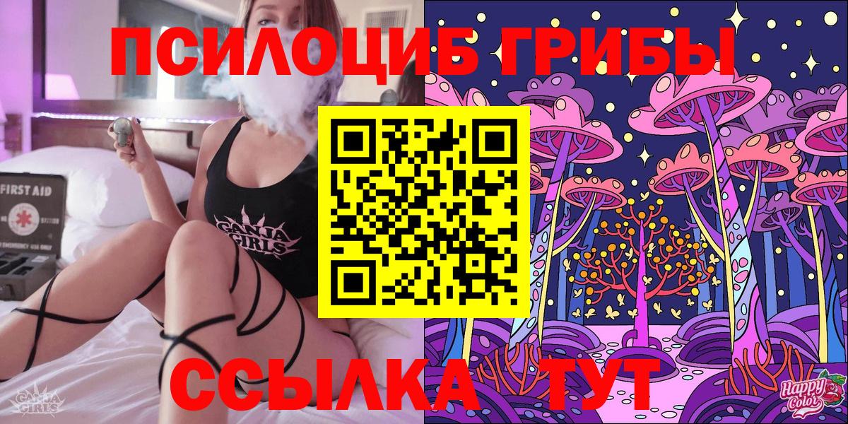Псилоцибиновые грибы Psilocybe Губкин