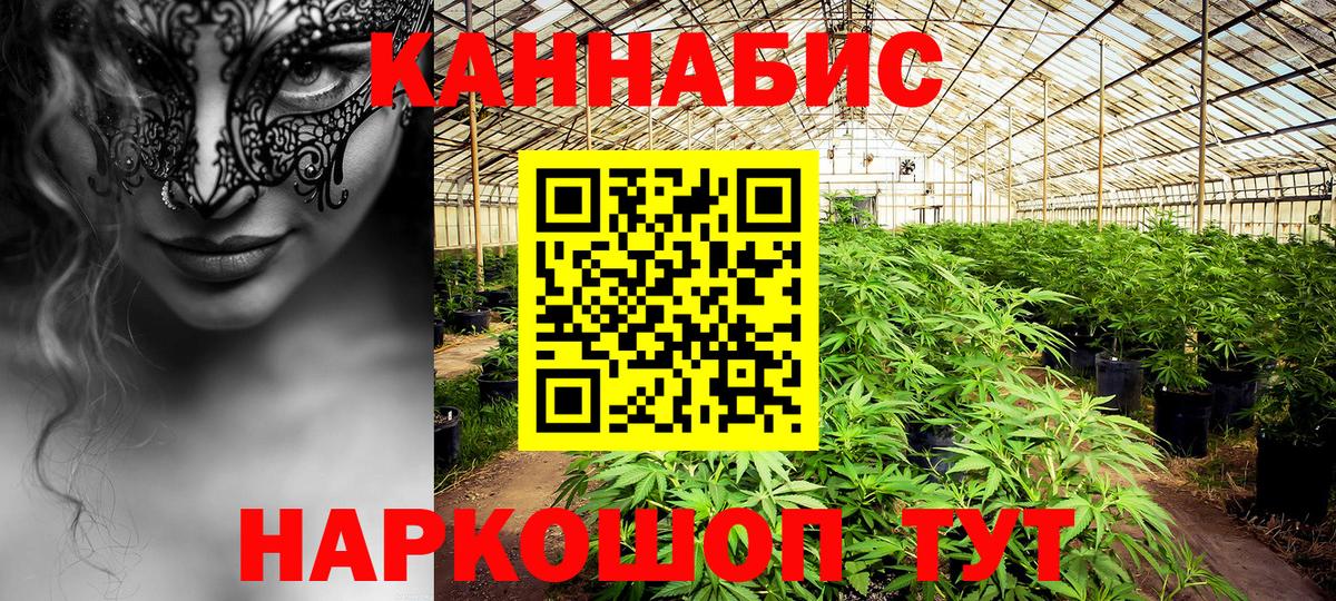 Шишки марихуана гибрид  Вход с VPN  Губкин  МАРИХУАНА конопля 